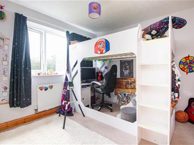 Picture 13